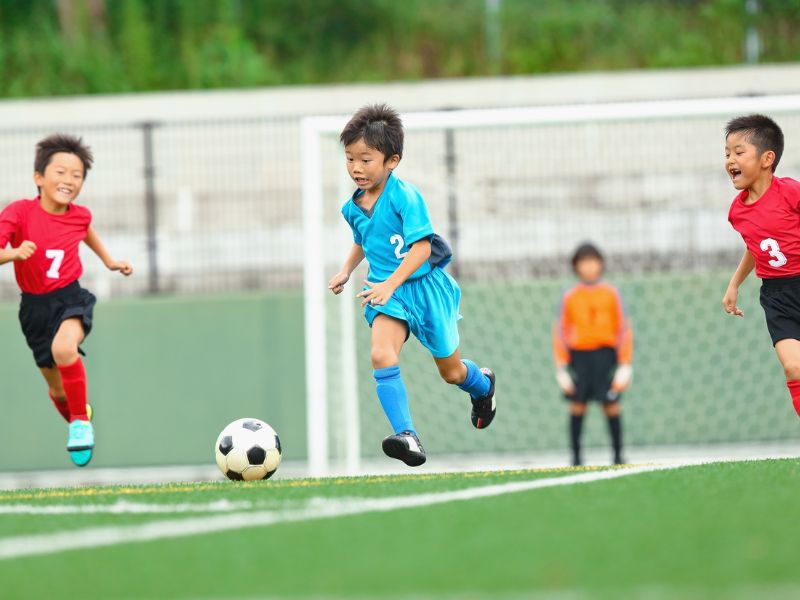 Artificial Turf Development for Playgrounds-Liverpool PNJ Group Australia