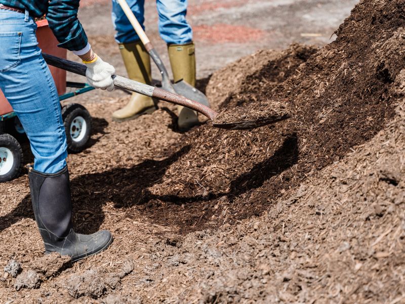 Comprehensive Earthworks Services-Liverpool PNJ Group Australia