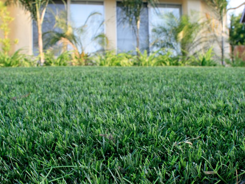 Synthetic Grass Installation Services-Katoomba PNJ Group Australia