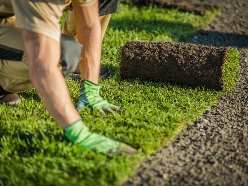 Synthetic Grass Installation Services-Mittagong