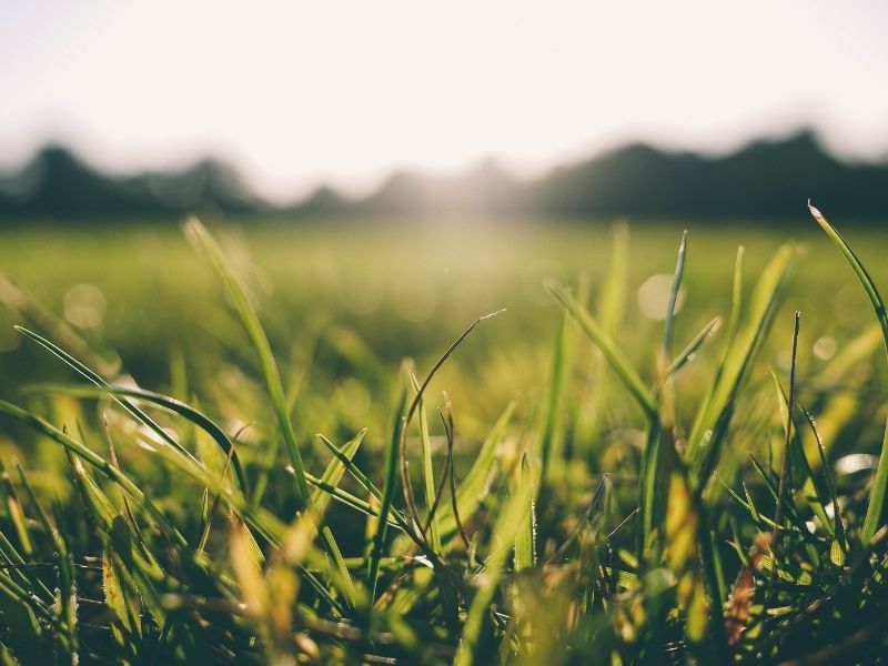 Synthetic Grass Installation Services-Port Kembla PNJ Group Australia